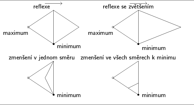 \epsfbox {amoeba.eps}